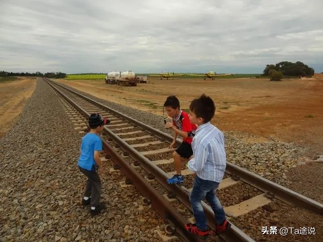 世界游泳冠军是_游泳冠军是什么动物_谁不是游泳冠军